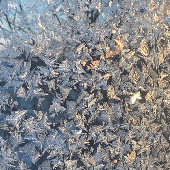 Meet your Posher, Kate - Picture 1 of 1